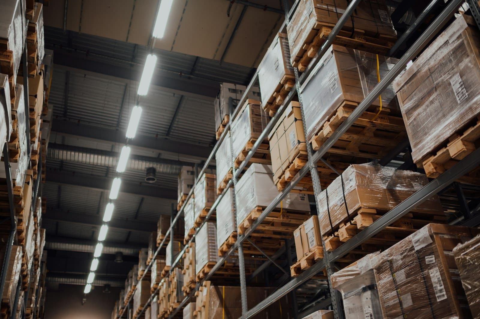 company database India — Warehouse racking representing companies across industries