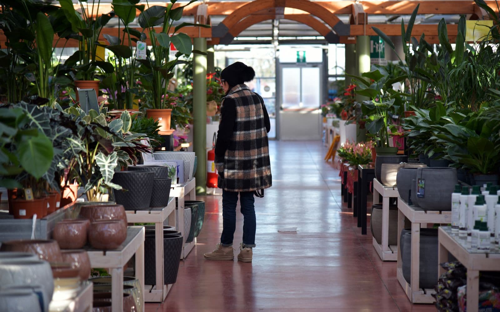 Woman browsing plants in a well-lit garden center filled with vibrant greenery